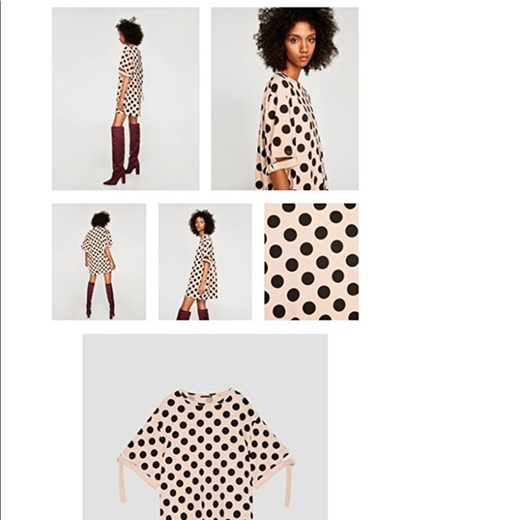 Zara Polka Dot Dress - Picture 1 of 2